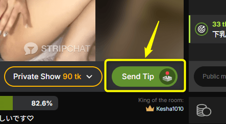 Stripchat Send Tip button inside a model's live room